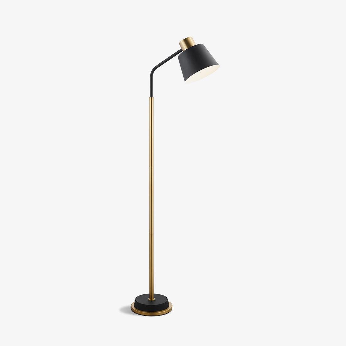 Moderne eenvoudige luxe metalen kleurblokkerende vloerlamp HL448