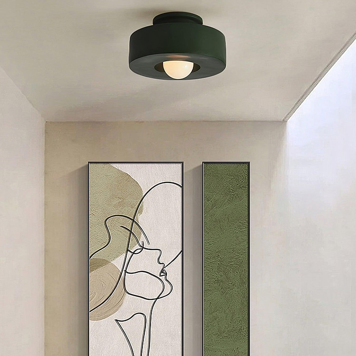 Nordic Round Disc Resin Plafondlamp HL289