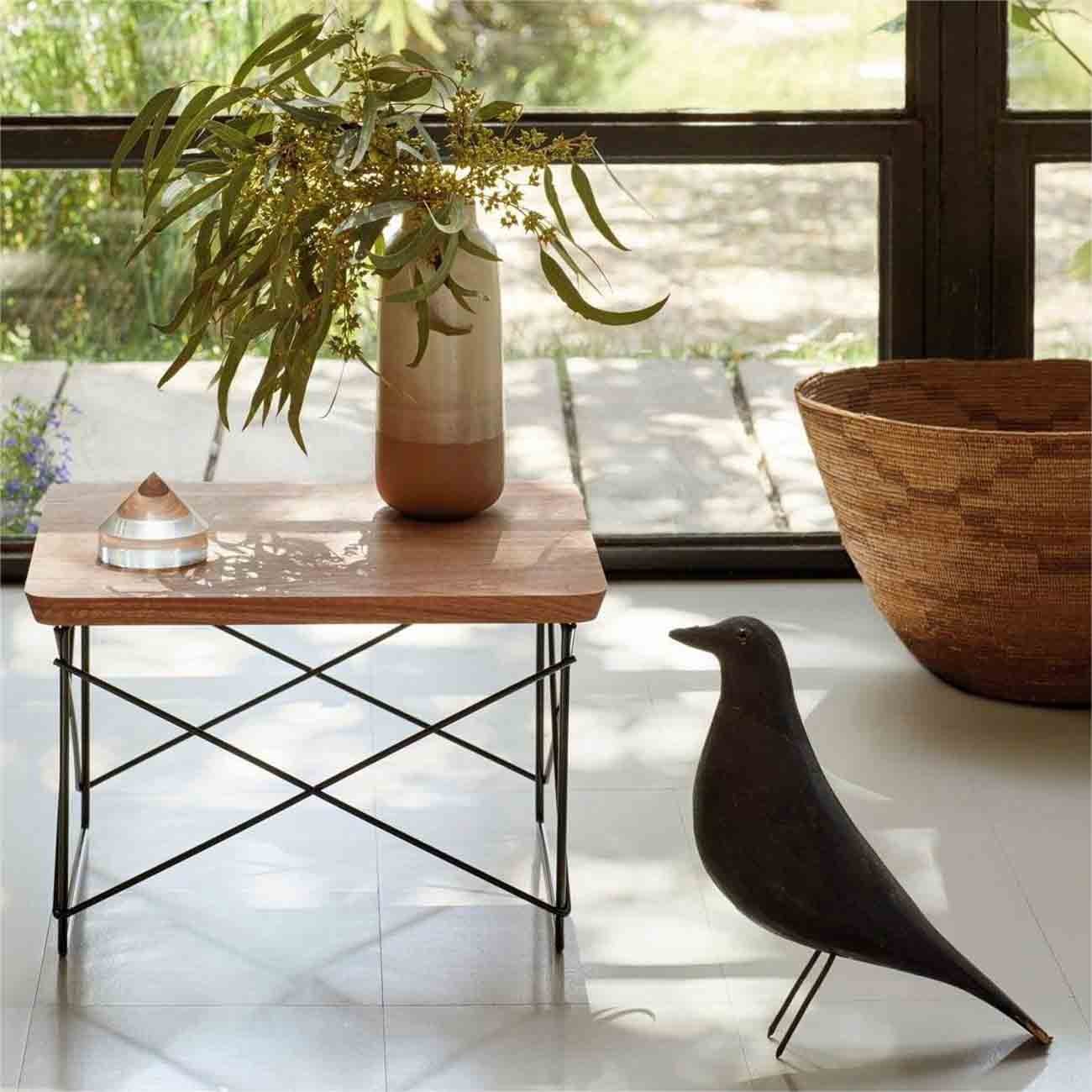 Huis Vogel Decoratief Ornament