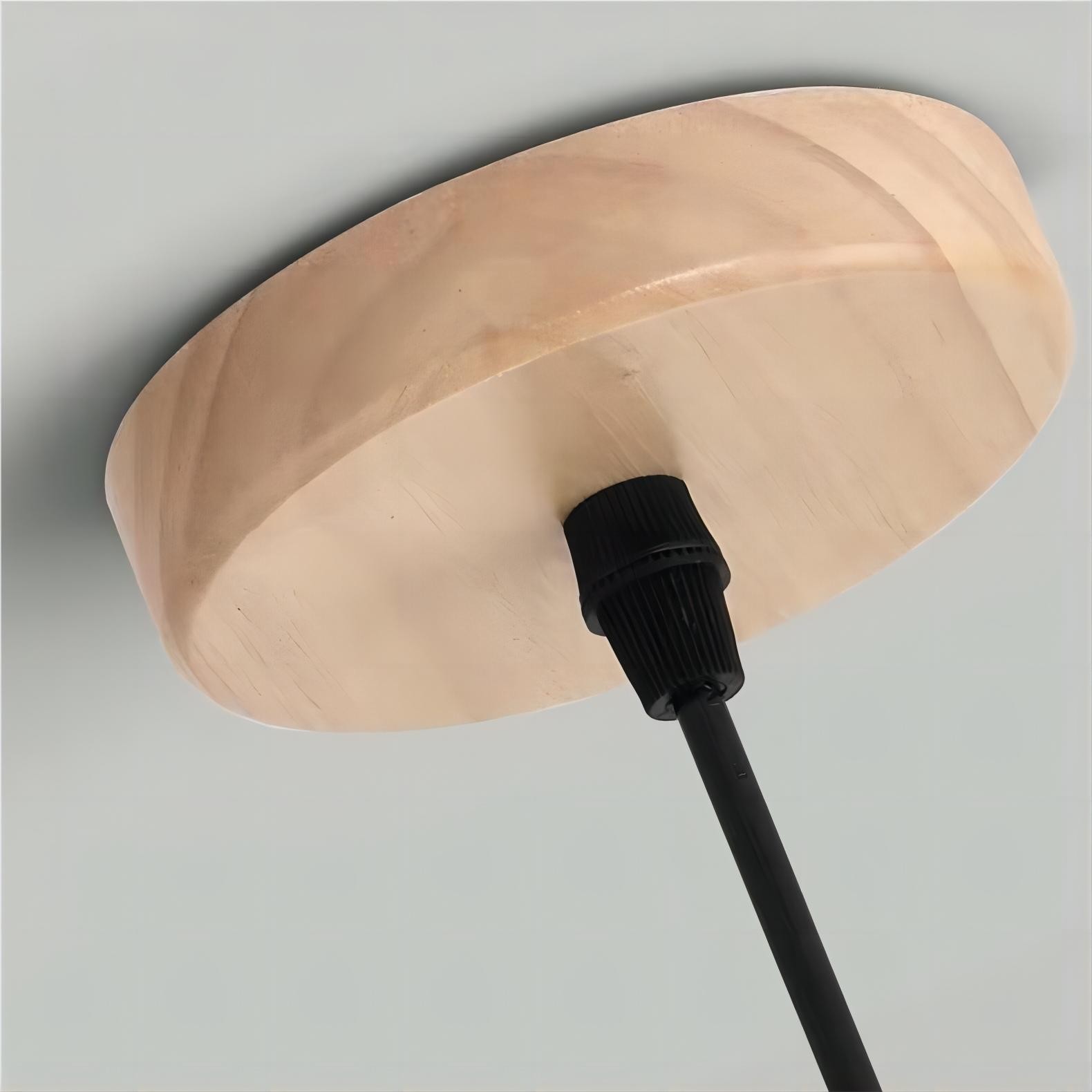 Creatieve Houten Pompoen Hanglamp HL77
