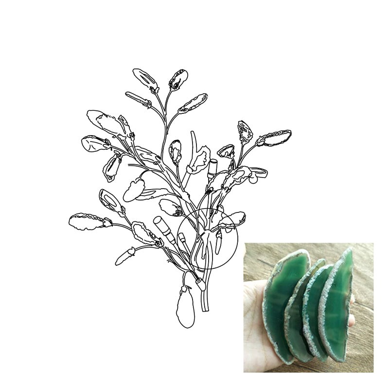 Agaat Wandlamp HL1167