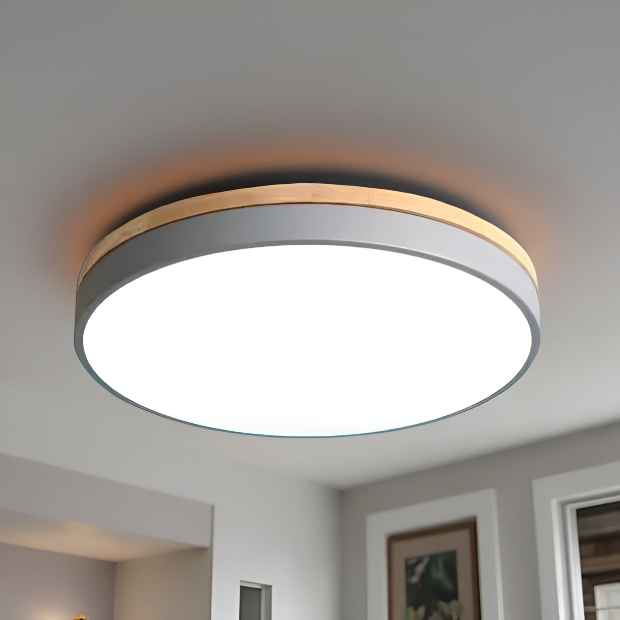Nordic LED ronde plafondlamp van acryl, minimalistisch design HL1289