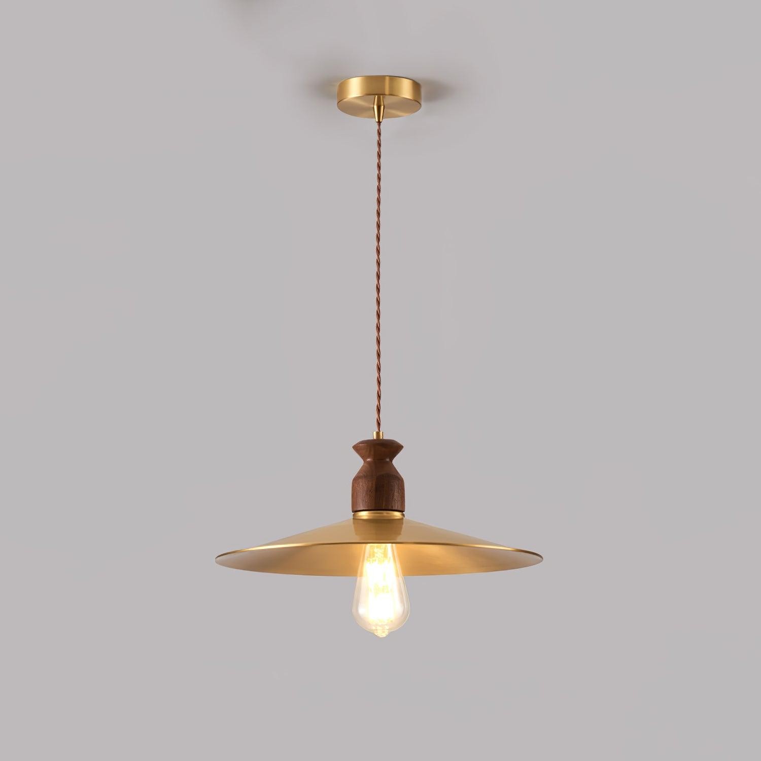 Hanglamp met messing wapenmotief HL2910