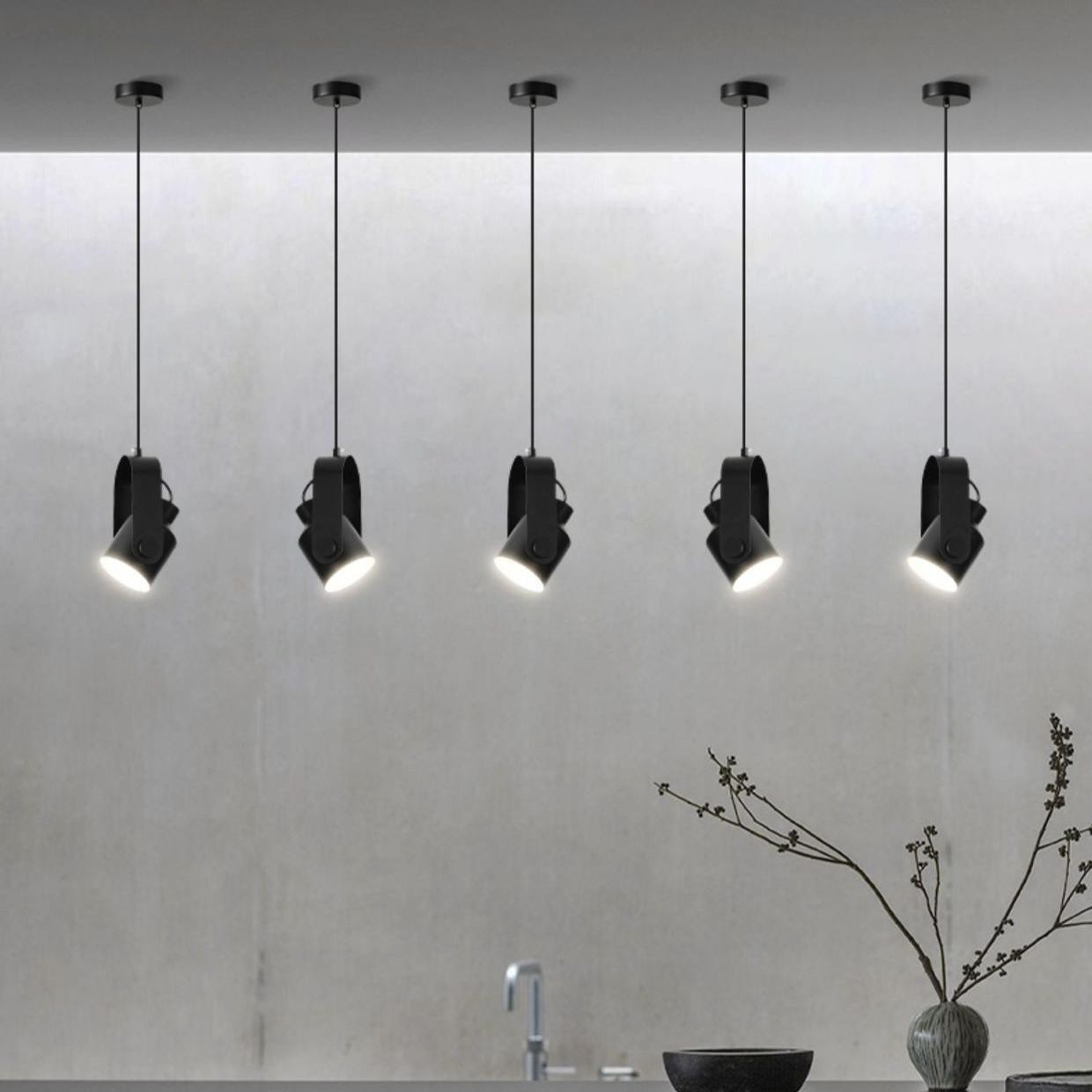 Verstelbare metalen kunst draaibare spot hanglamp HL125