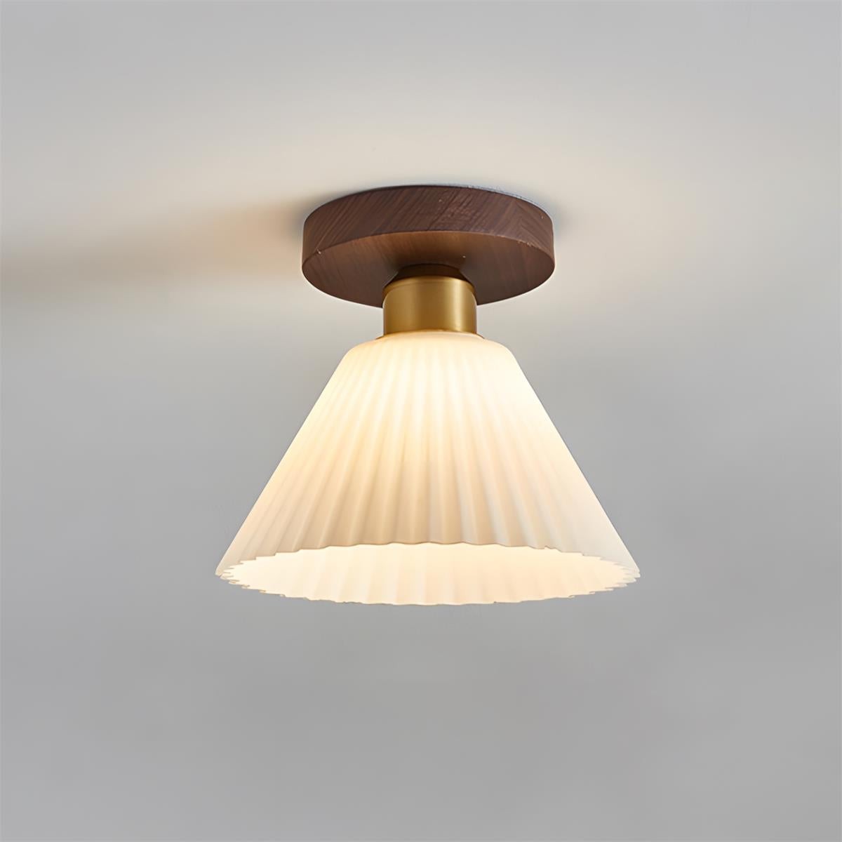 Rayelle plafondlamp HL2898