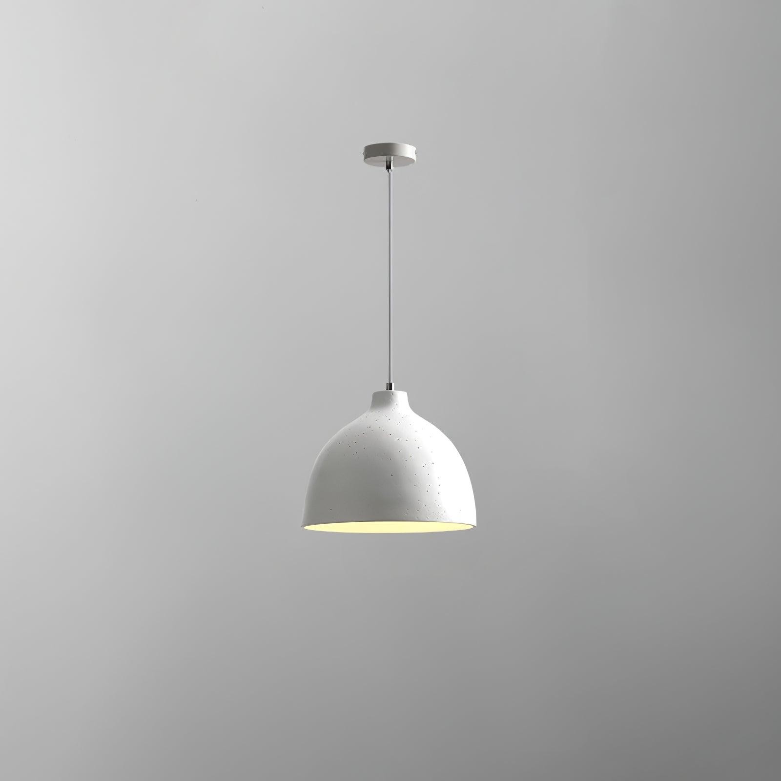 Moderne minimalistische industriële harskom LED hanglamp HL788