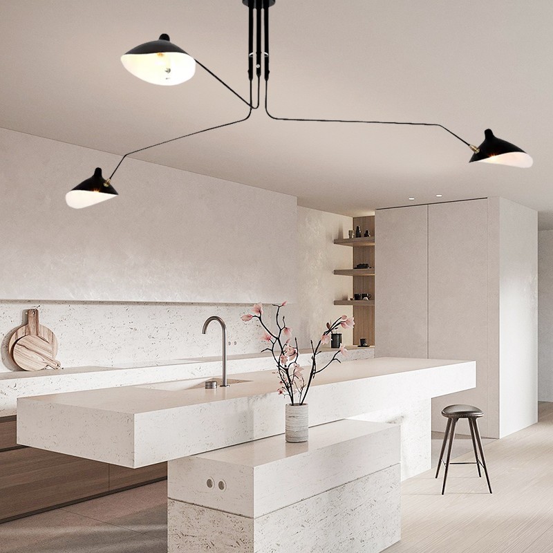 Duckbill Plafondlamp Verstelbare Arm