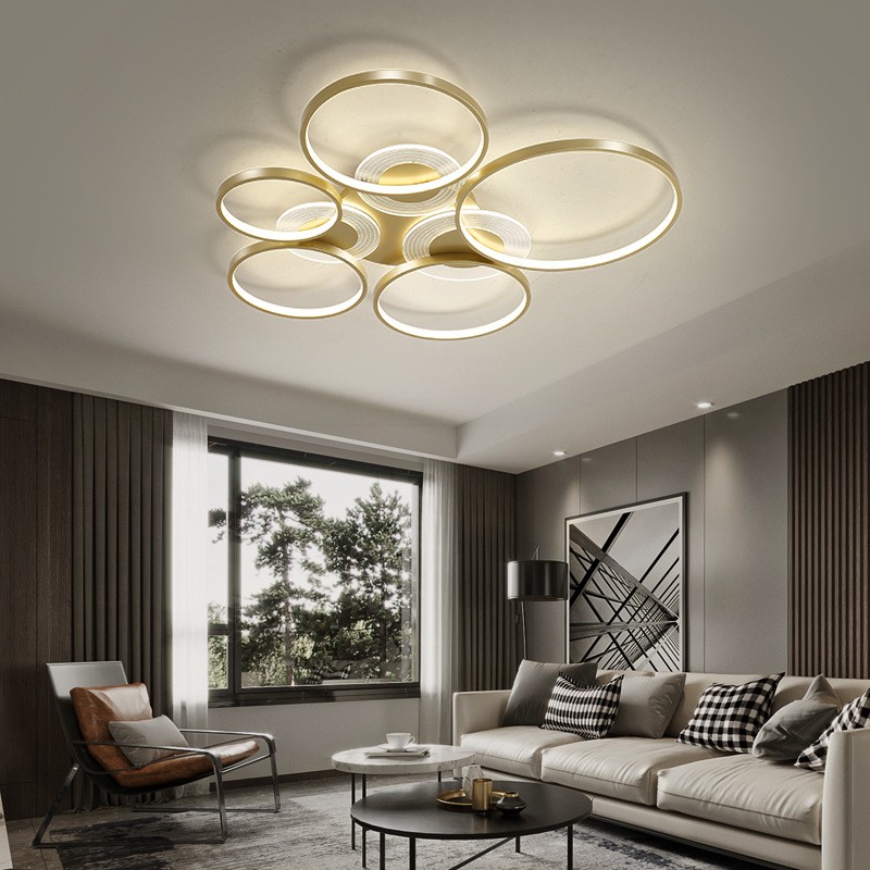 Moderne Multihead Circle LED Plafondlamp HL147