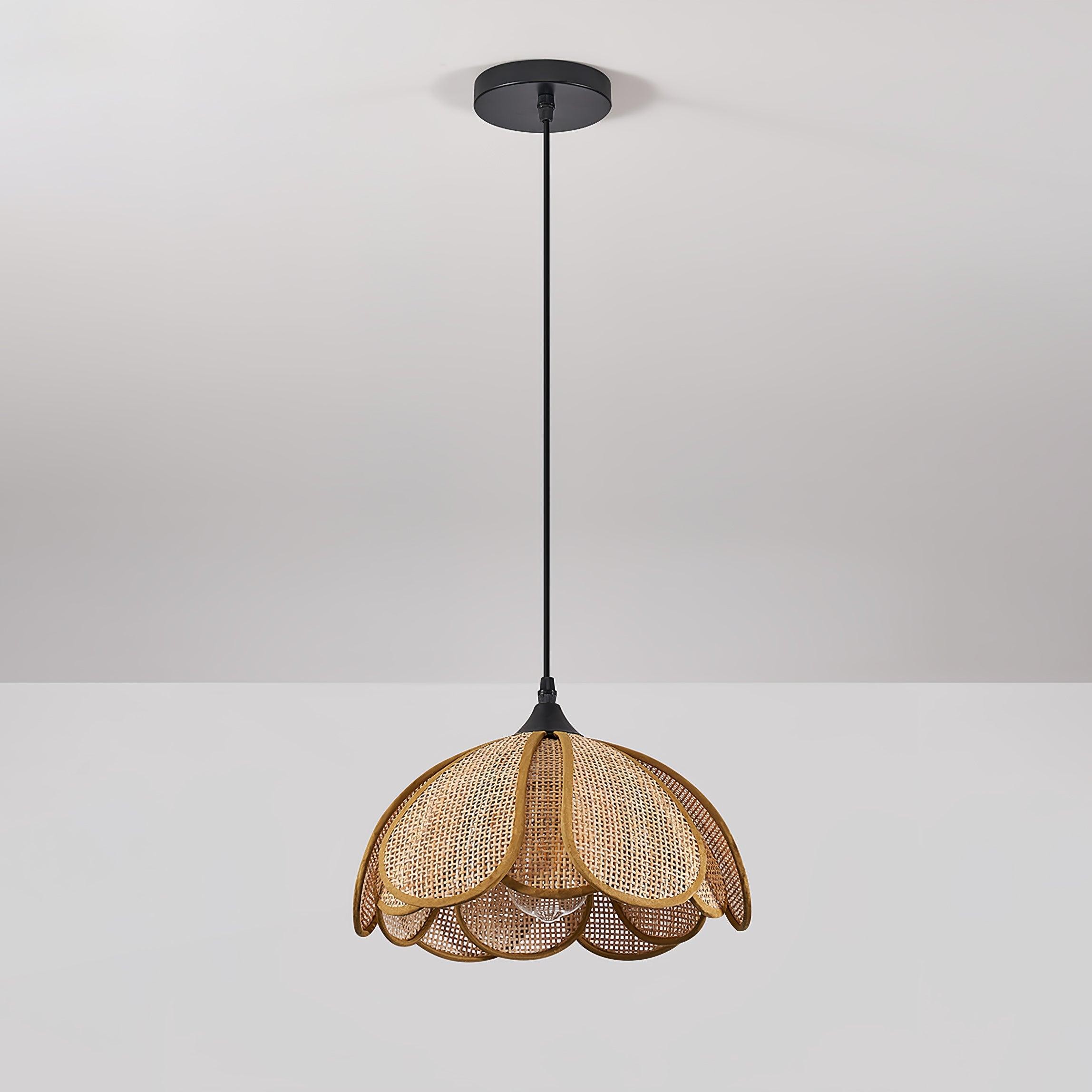 Bloom Rattan Hanglamp HL2911