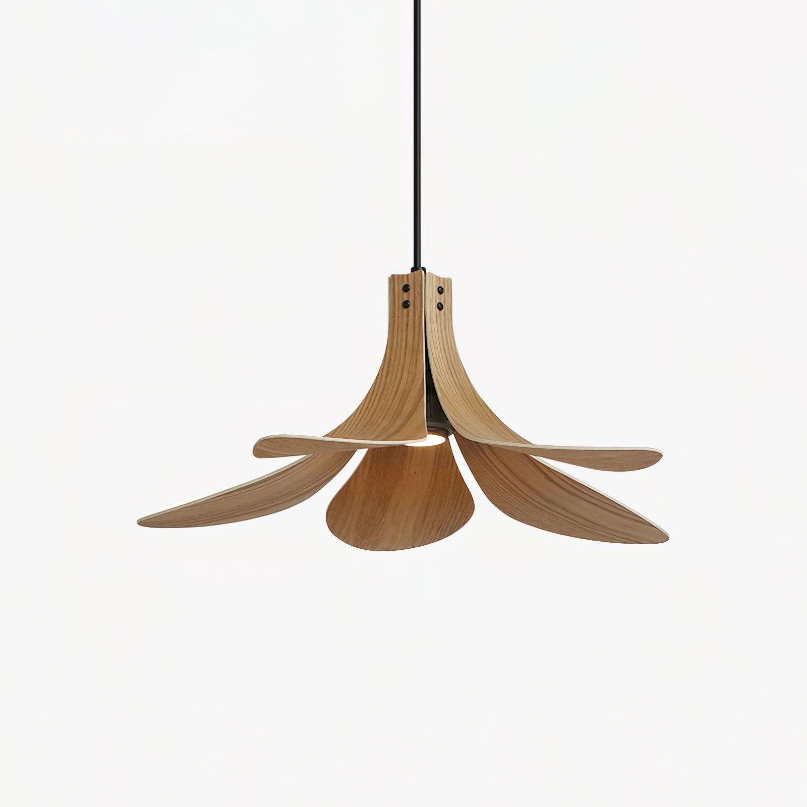 Petanova hanglamp HL2711