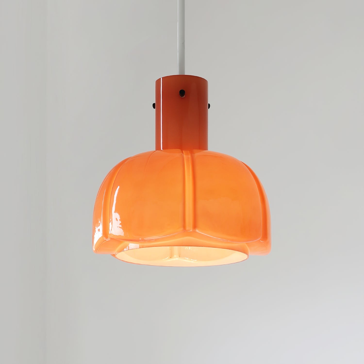 Franse pastorale stijl bloemblaadje glazen hanglamp HL637