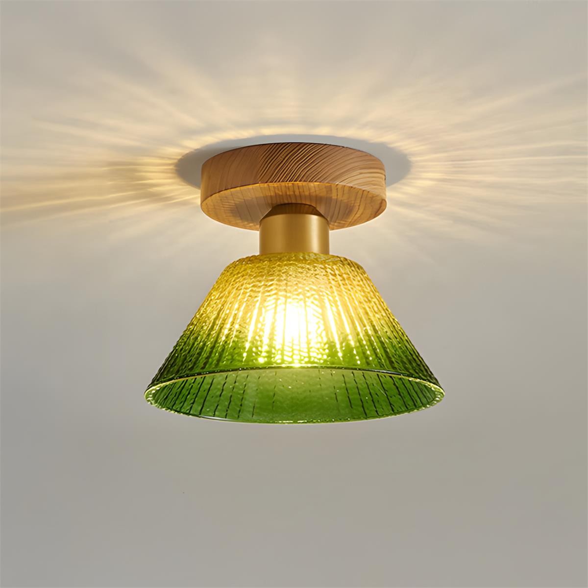 Rayelle plafondlamp HL2898