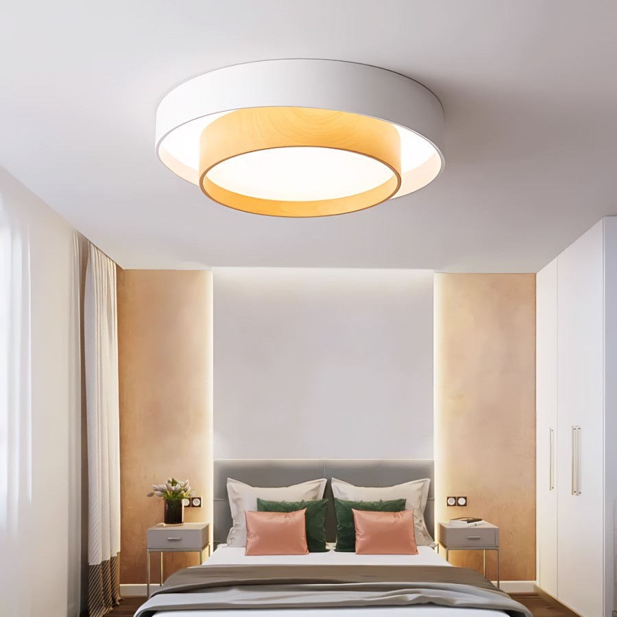 Dubbele Ronde Schijf Melody Plafondlamp HL265