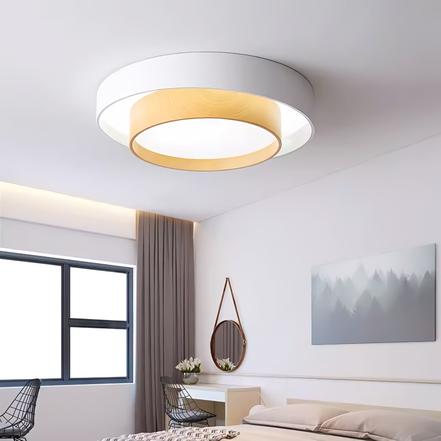 Dubbele Ronde Schijf Melody Plafondlamp HL265