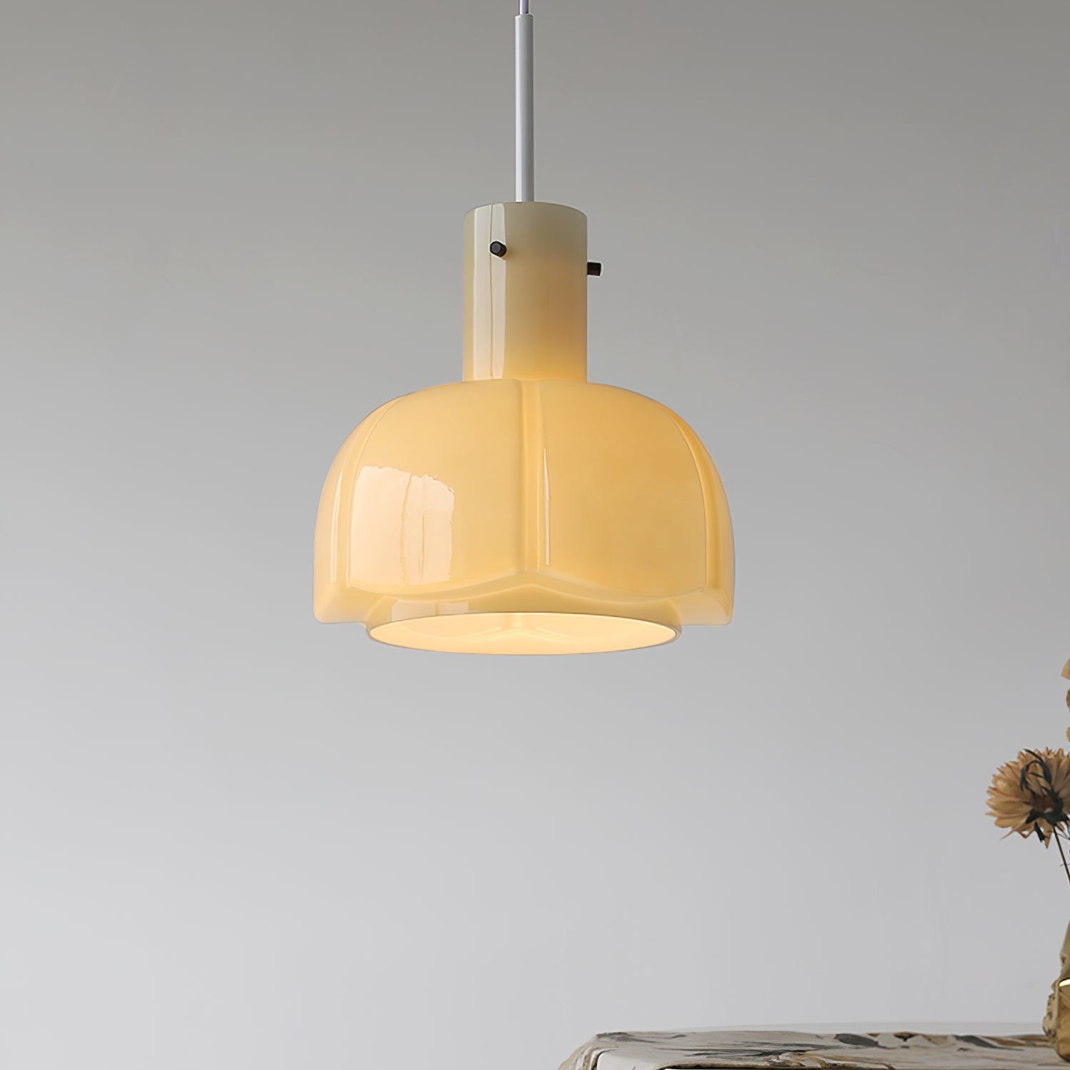 Franse pastorale stijl bloemblaadje glazen hanglamp HL637