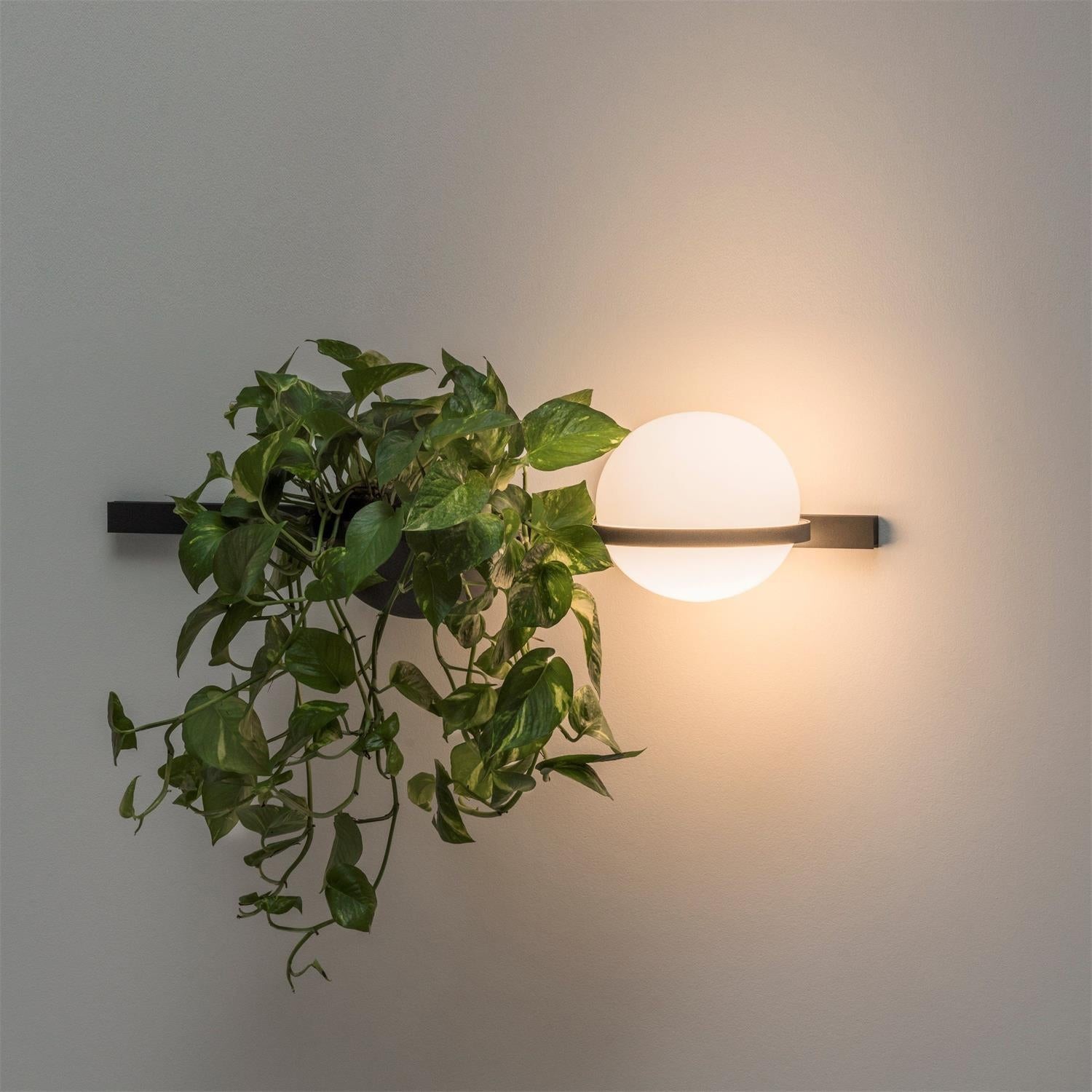 Palma wandlamp HL3062