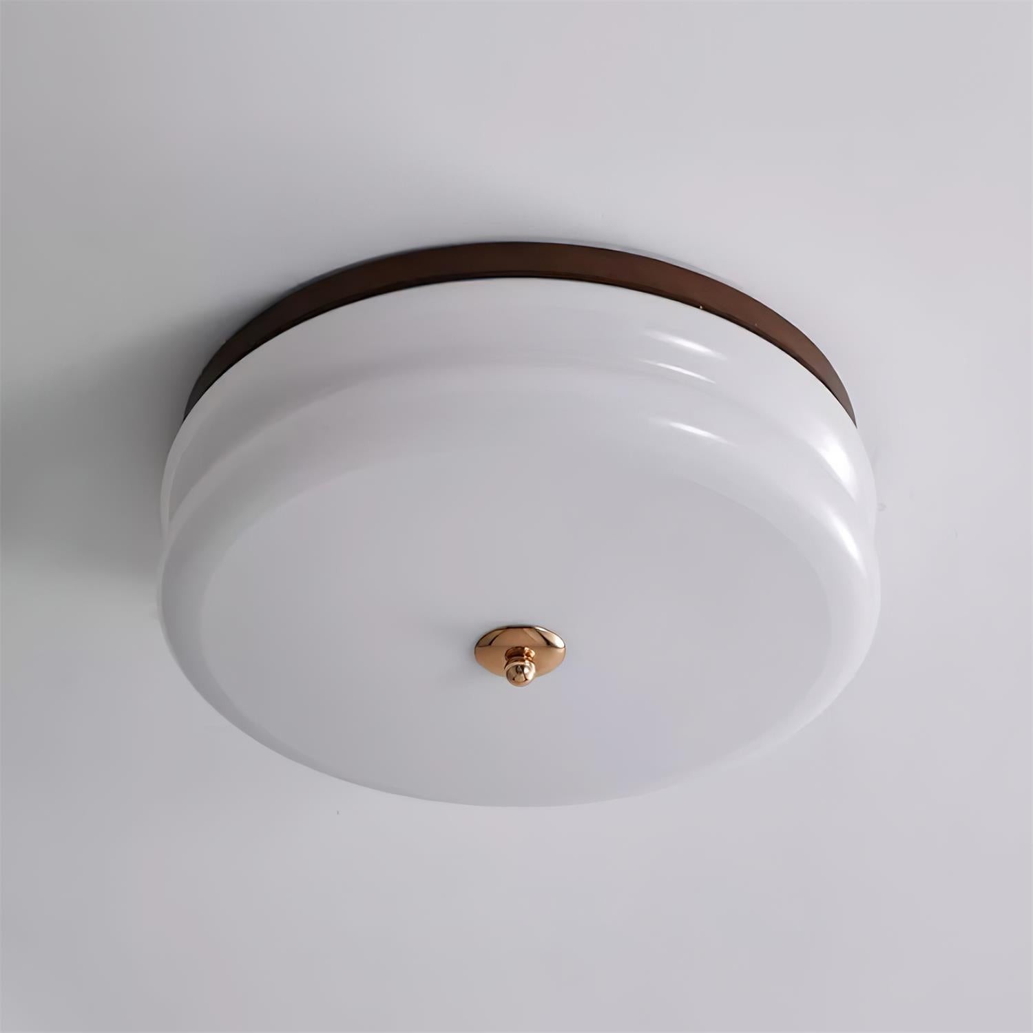 Rowen plafondlamp HL2558