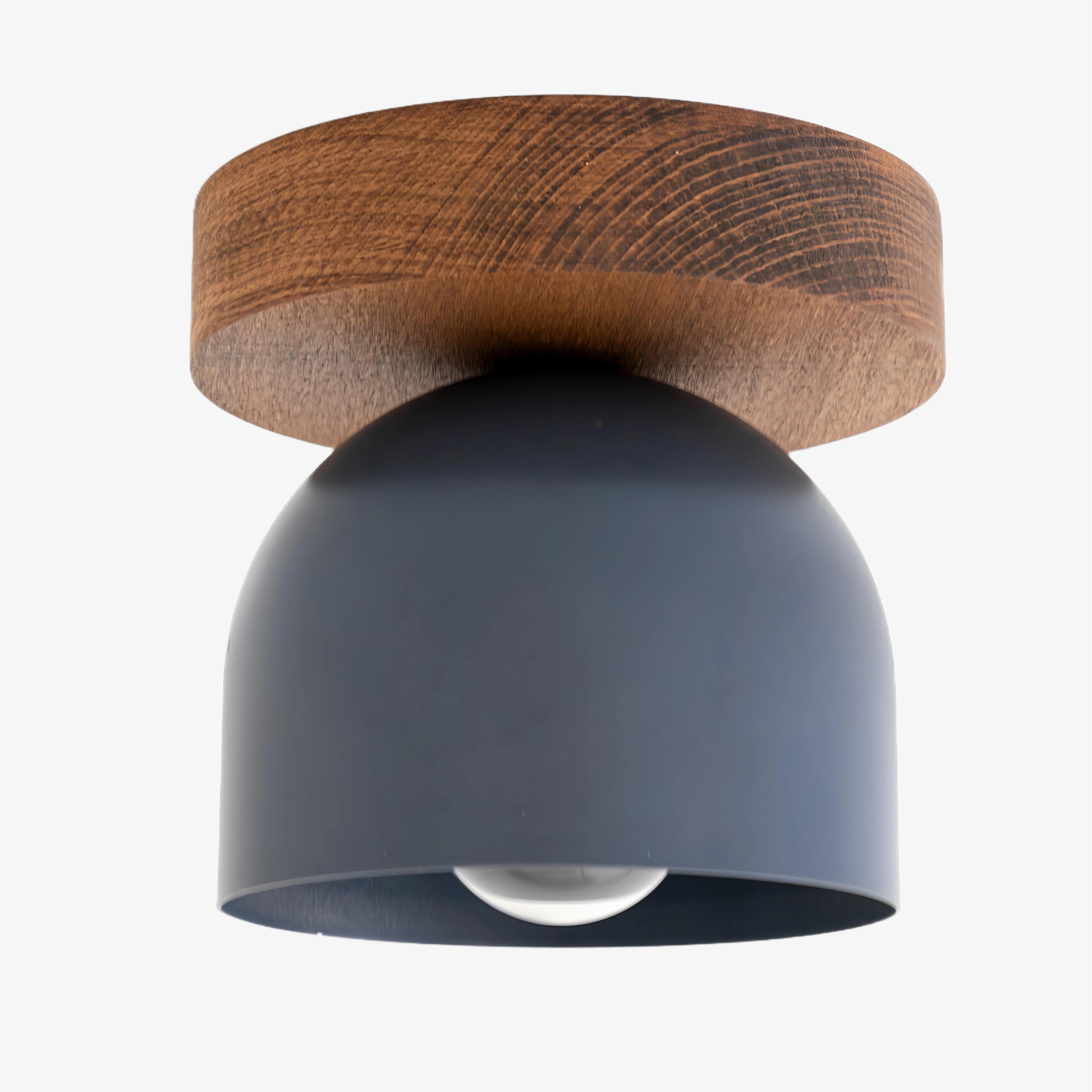 Metio Dome moderne rustieke plafondlamp - houten en metalen fusie HL1734