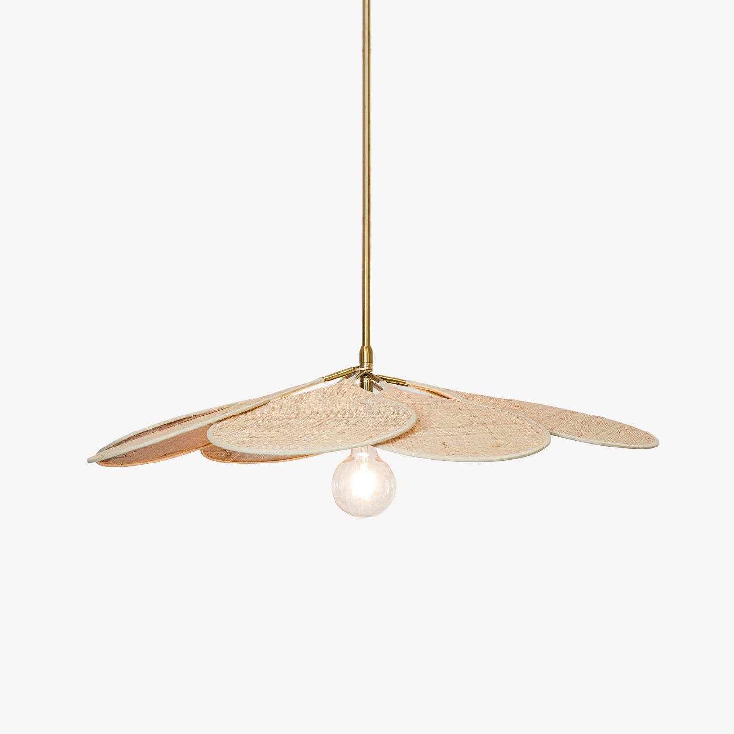 Petals Bloom Rotan Hanglamp HL621
