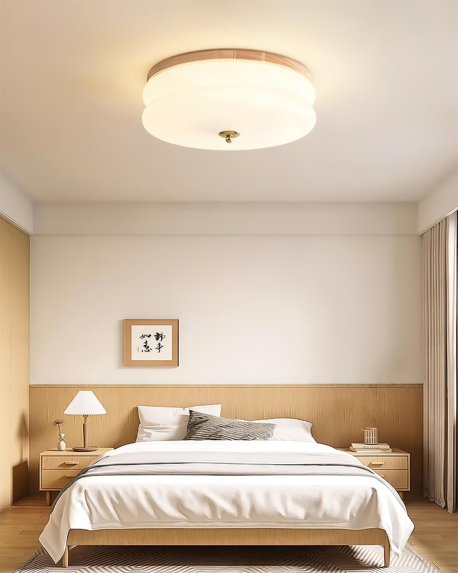Rowen plafondlamp HL2558