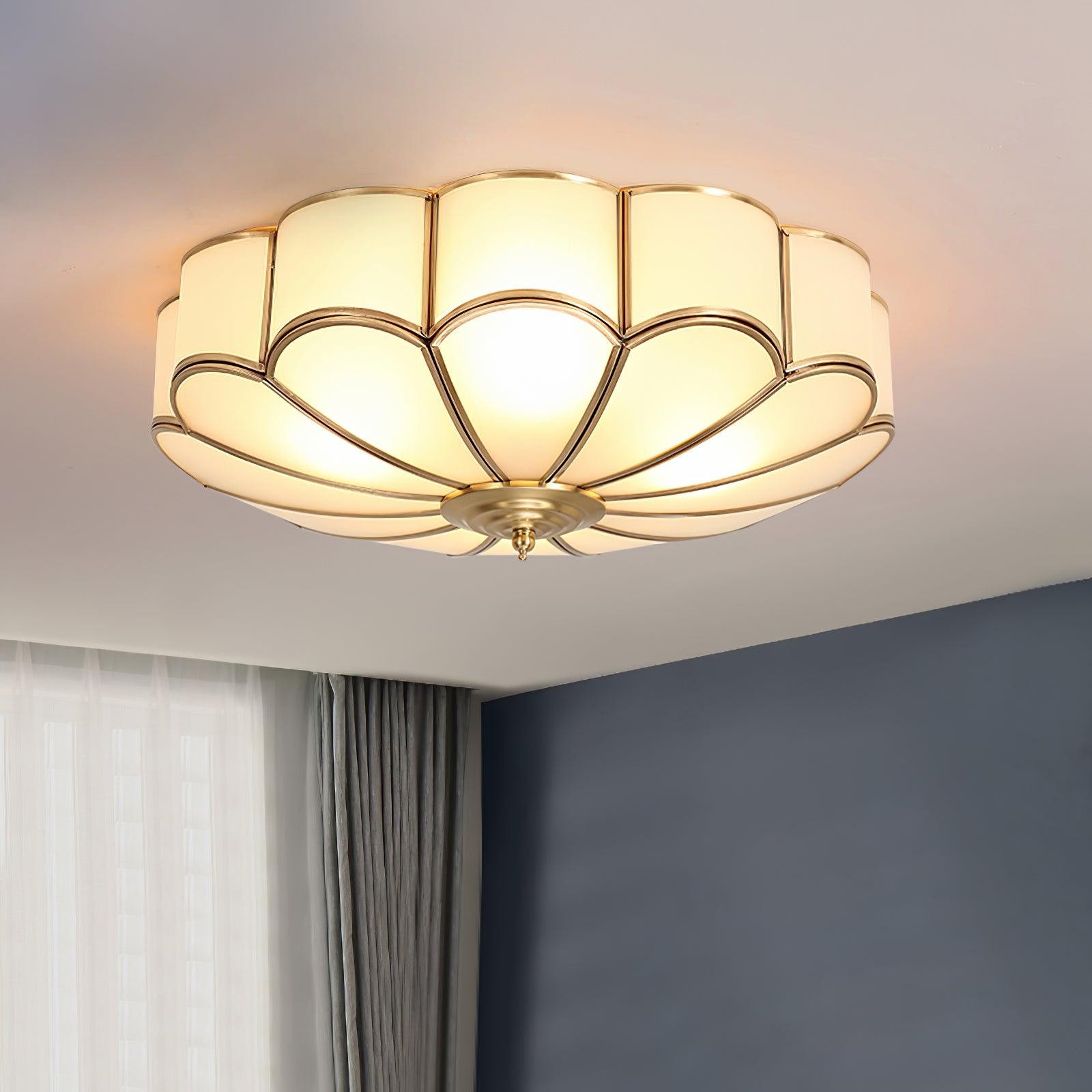 Moderne Bloemvormige Plafondlamp met Opbouw HL298