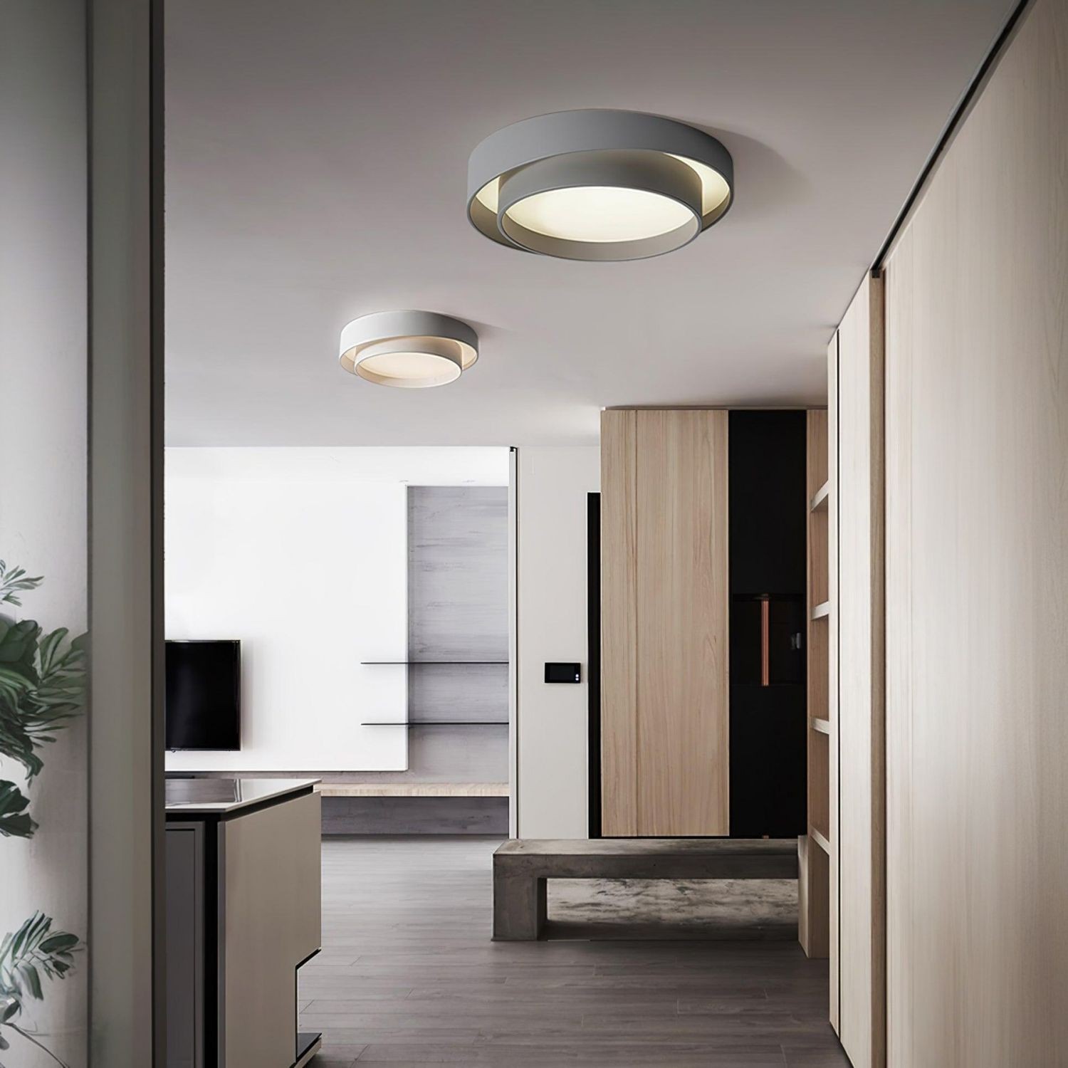 Dubbele ronde schijf Melody plafondlamp HL165