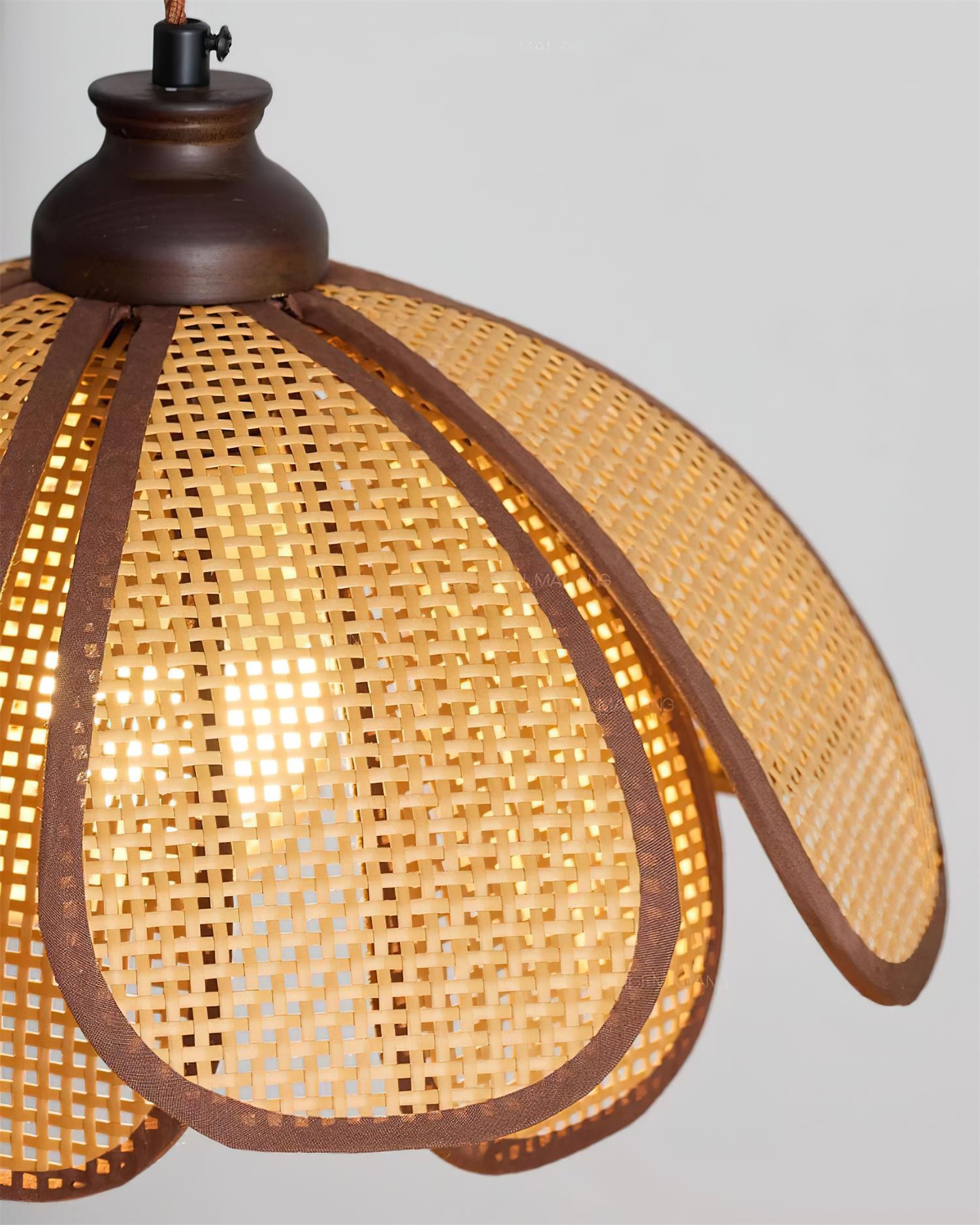 Capelina hanglamp HL2642