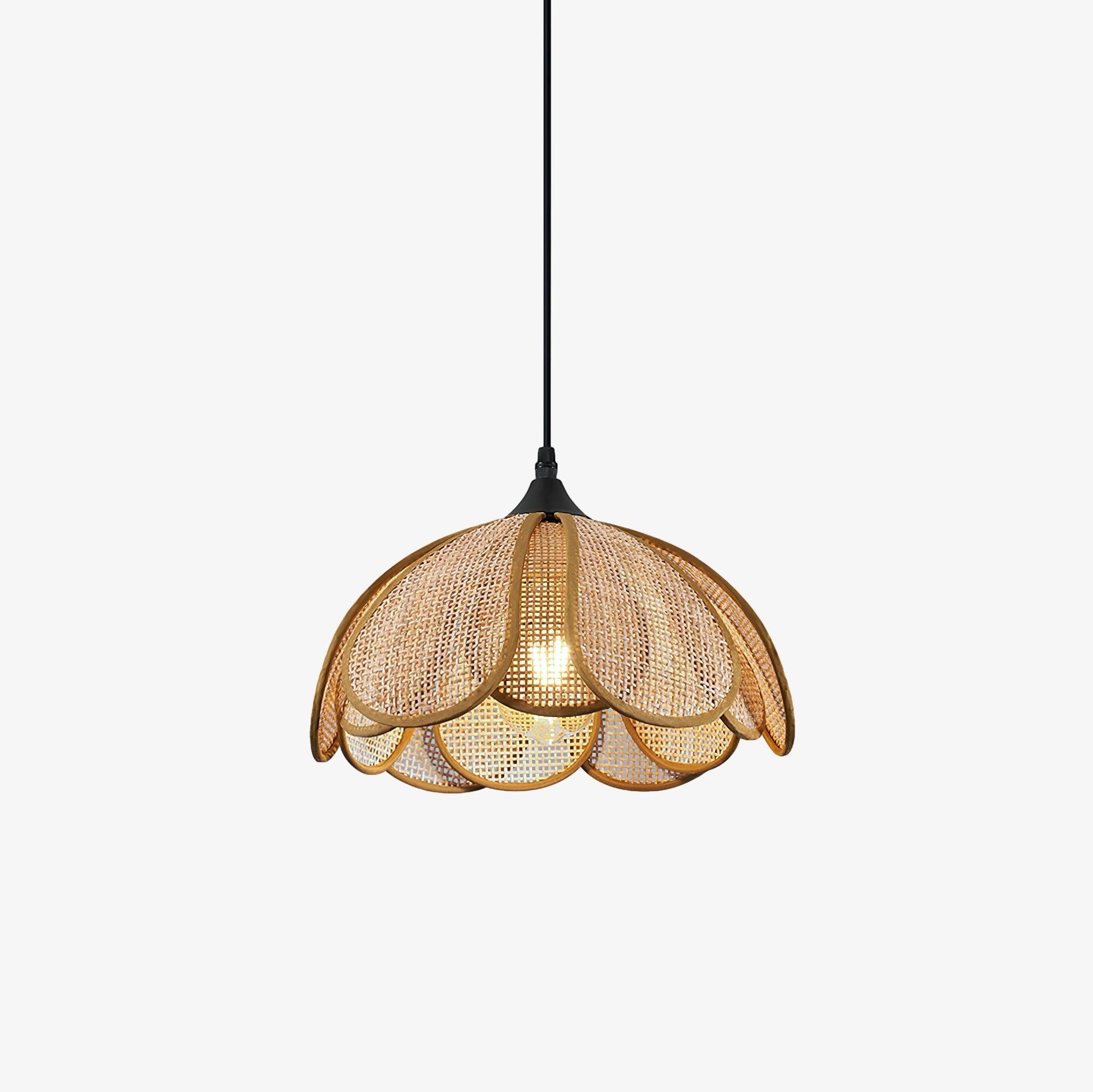 Bloom Rattan Hanglamp HL2911