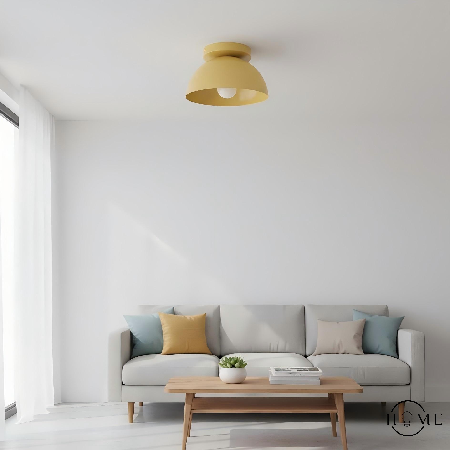 Metio Dome Shade Plafondlamp - Moderne Gekleurde Metalen Lamp voor Woonkamer en Slaapkamer HL1733