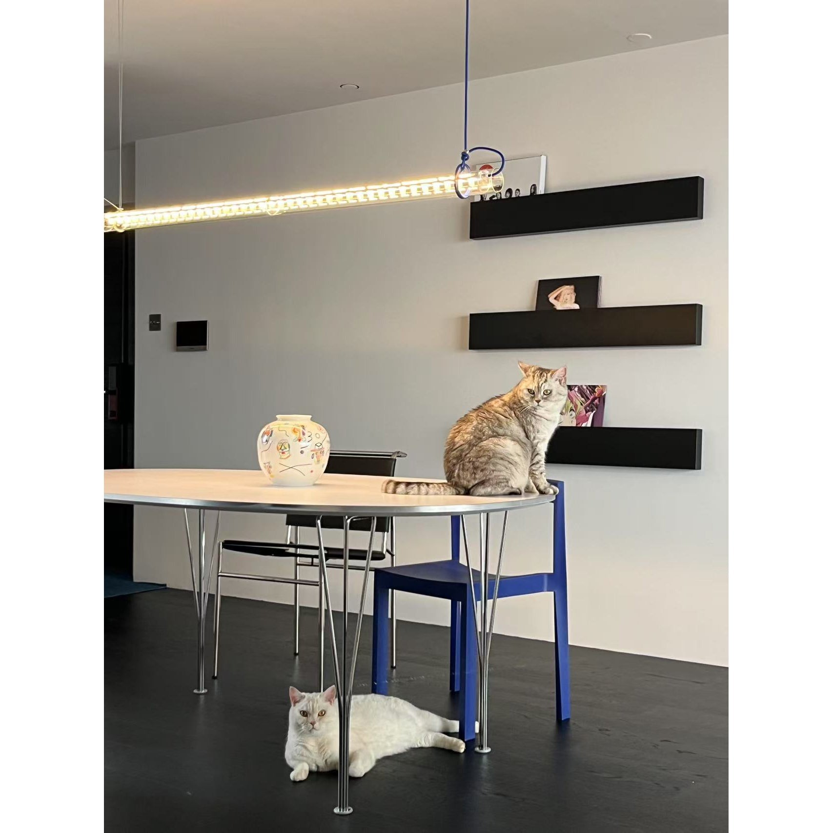 Buisvormige lineaire LED-hanglamp HL3249