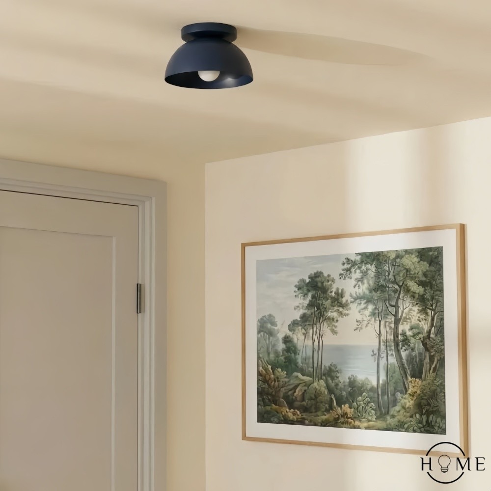 Metio Dome Shade Plafondlamp - Moderne Gekleurde Metalen Lamp voor Woonkamer en Slaapkamer HL1733
