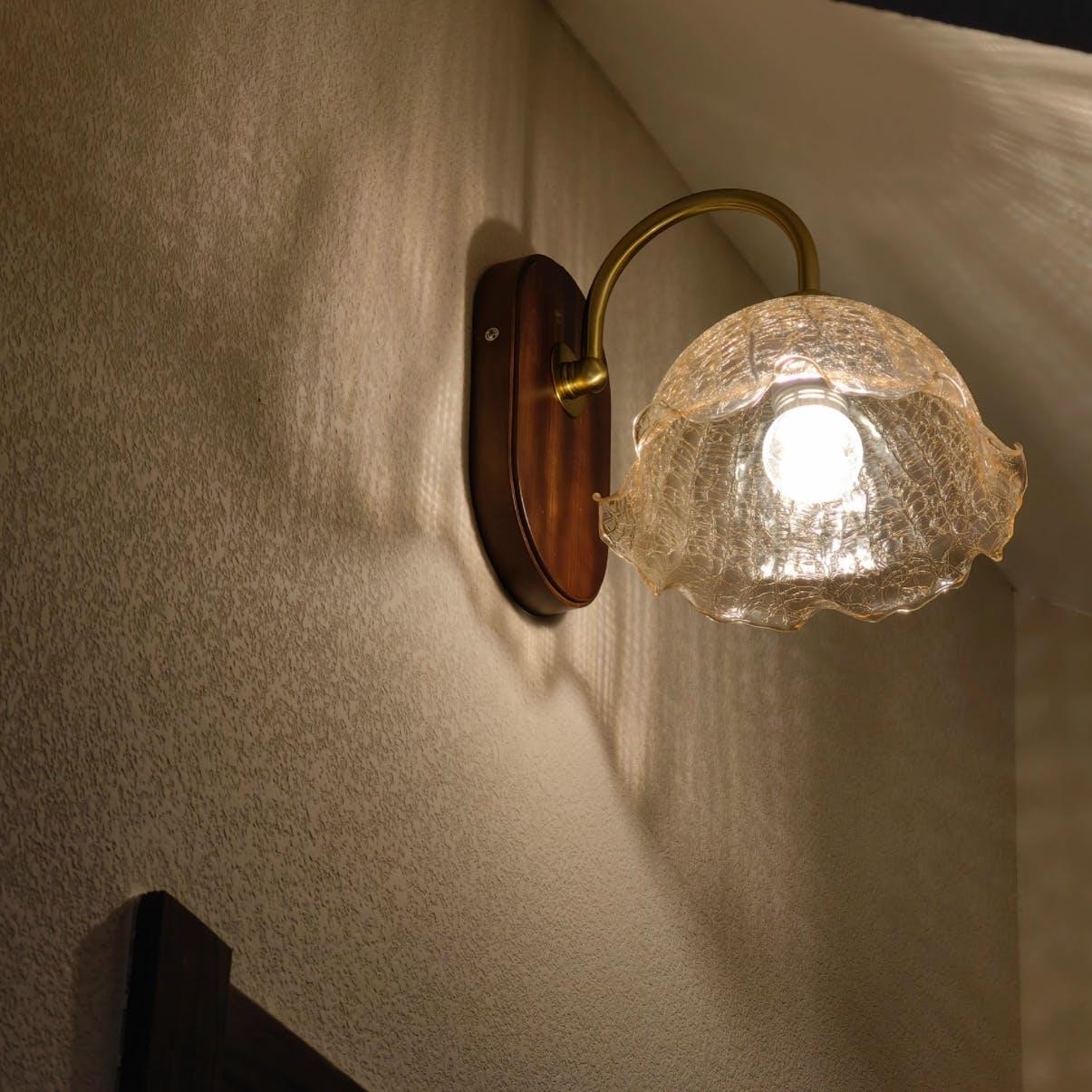 Mid Century Vintage Bloem Glazen Wandlamp HL24