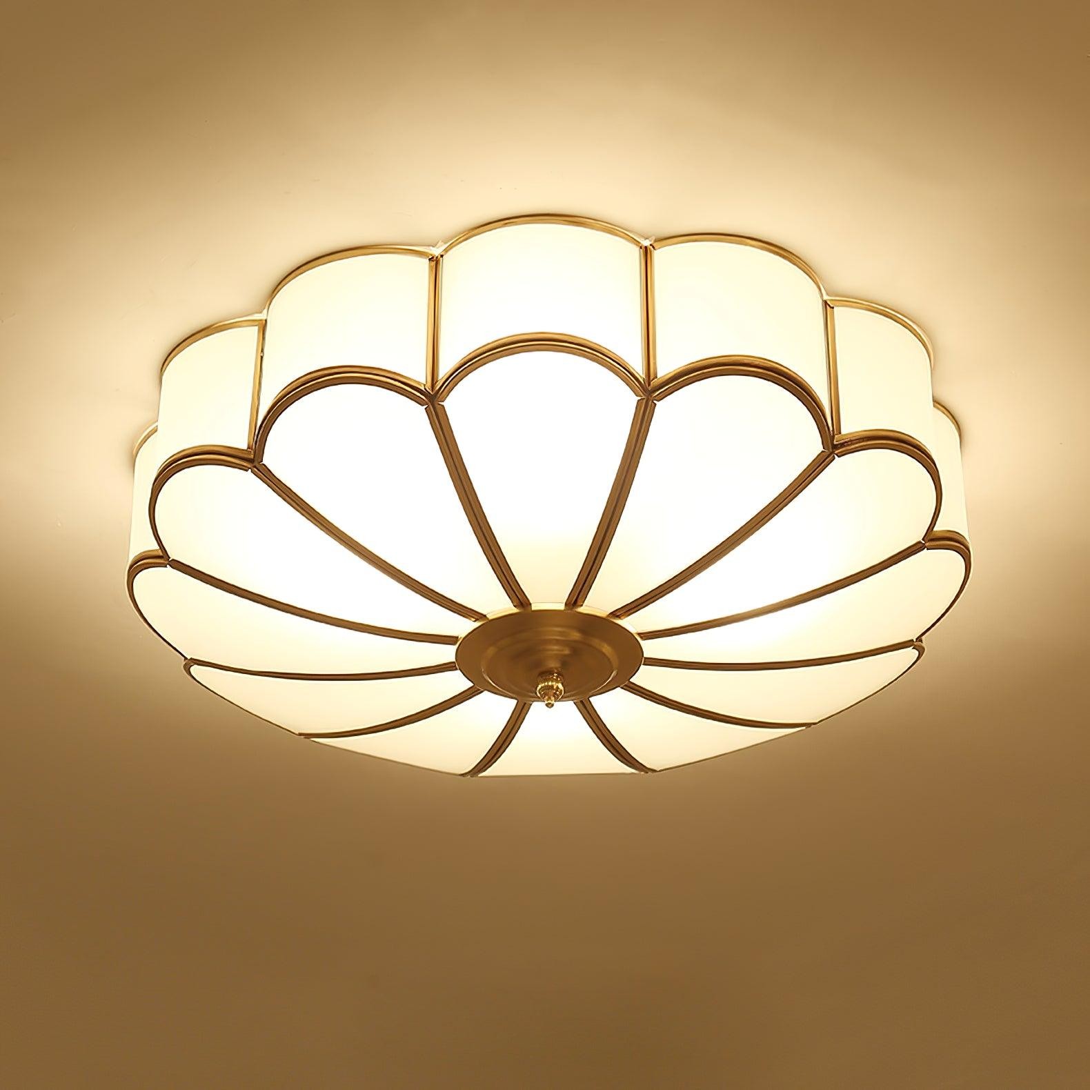 Moderne Bloemvormige Plafondlamp met Opbouw HL298