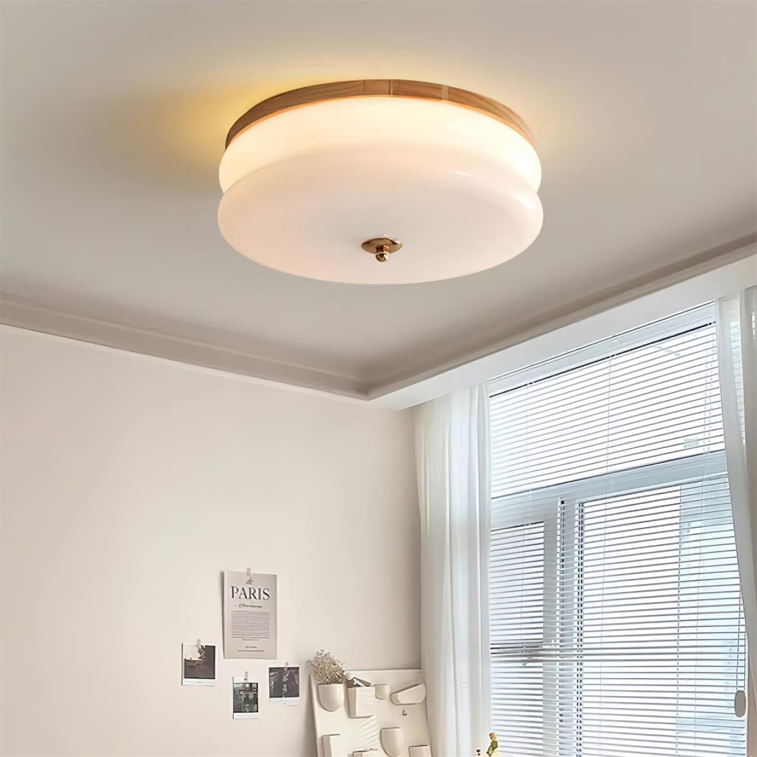 Rowen plafondlamp HL2558
