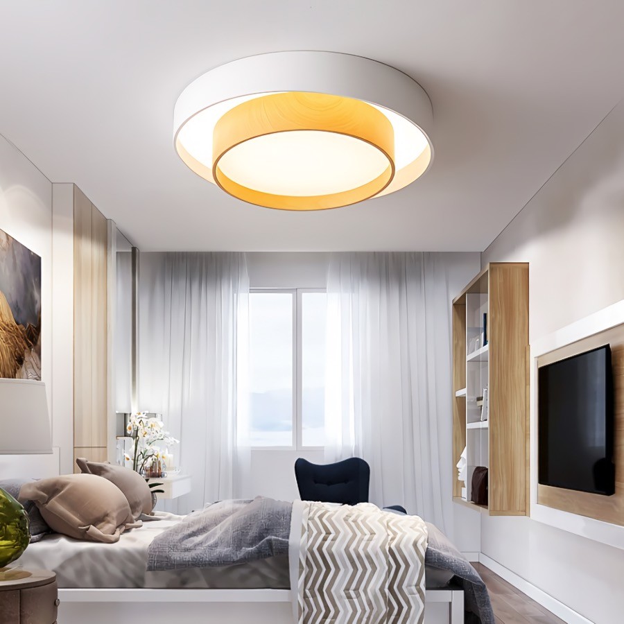 Dubbele Ronde Schijf Melody Plafondlamp HL265