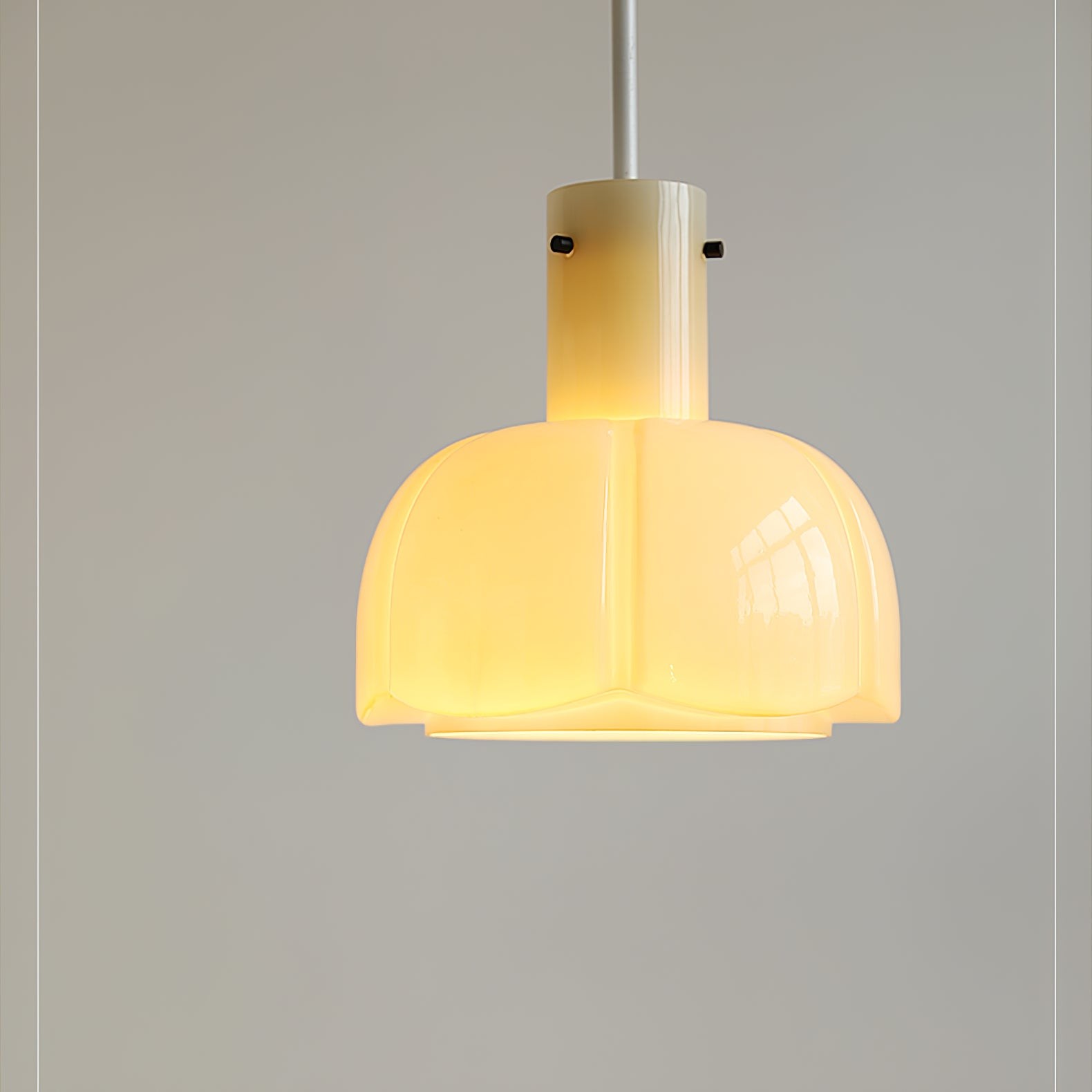 Franse pastorale stijl bloemblaadje glazen hanglamp HL637