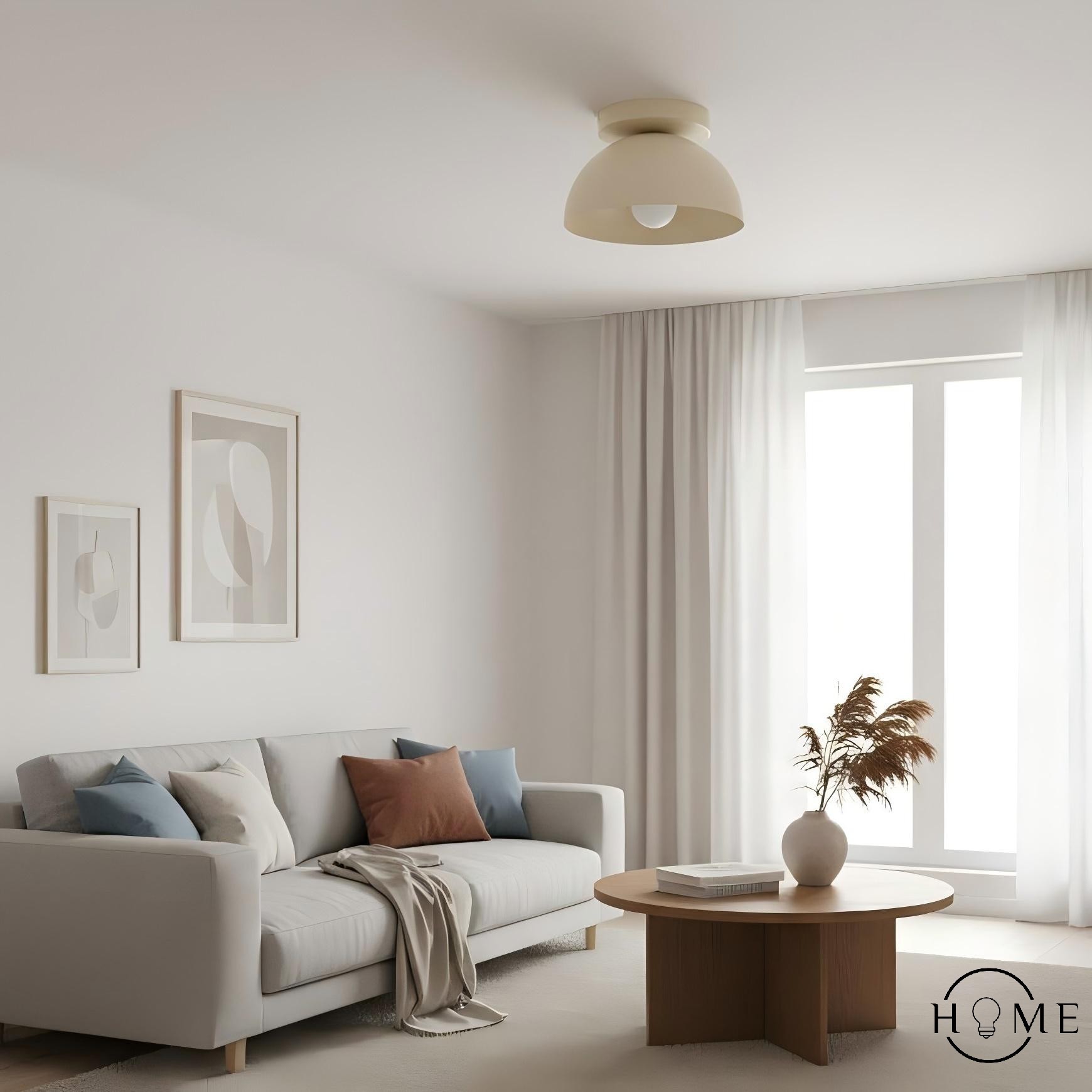 Metio Dome Shade Plafondlamp - Moderne Gekleurde Metalen Lamp voor Woonkamer en Slaapkamer HL1733