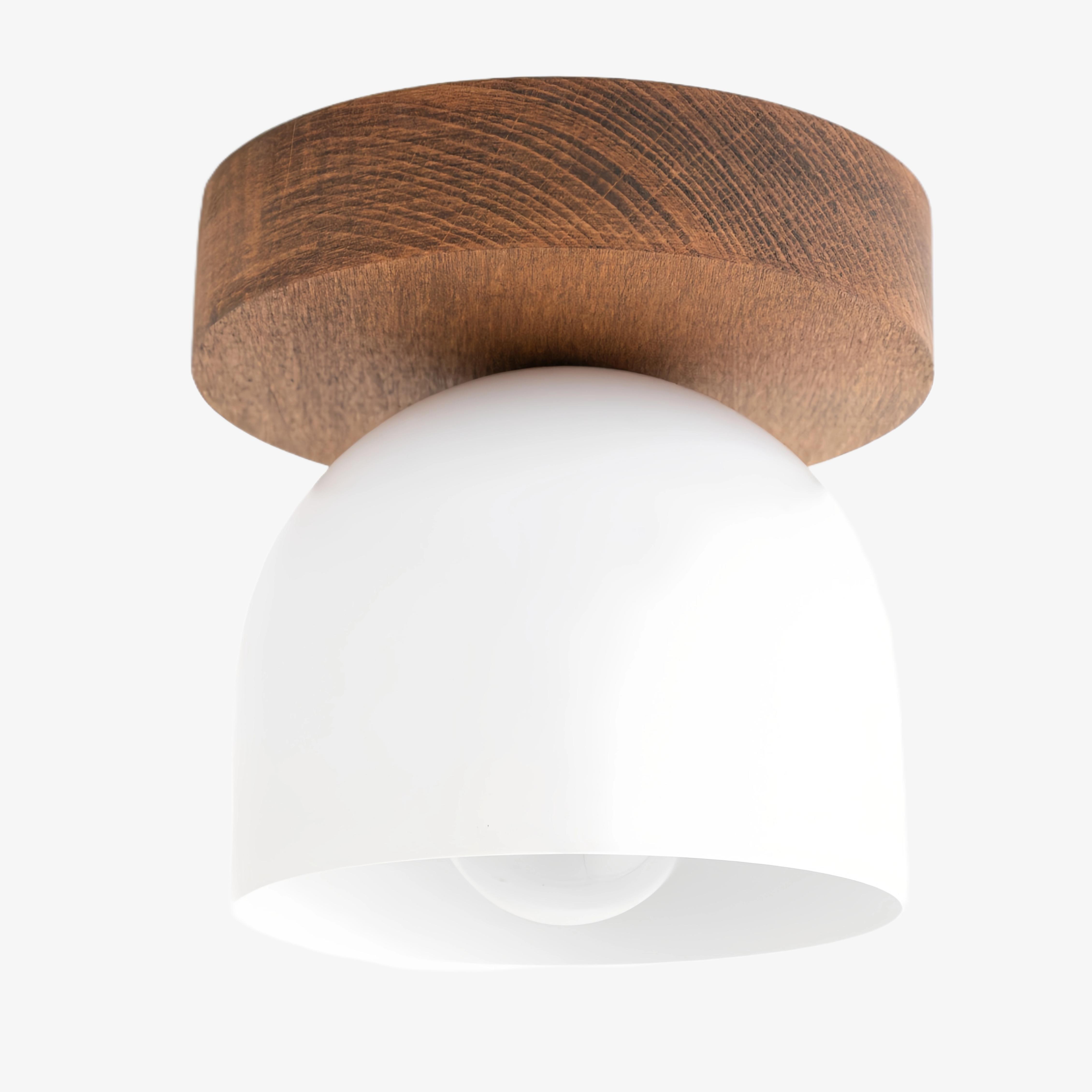 Metio Dome moderne rustieke plafondlamp - houten en metalen fusie HL1734