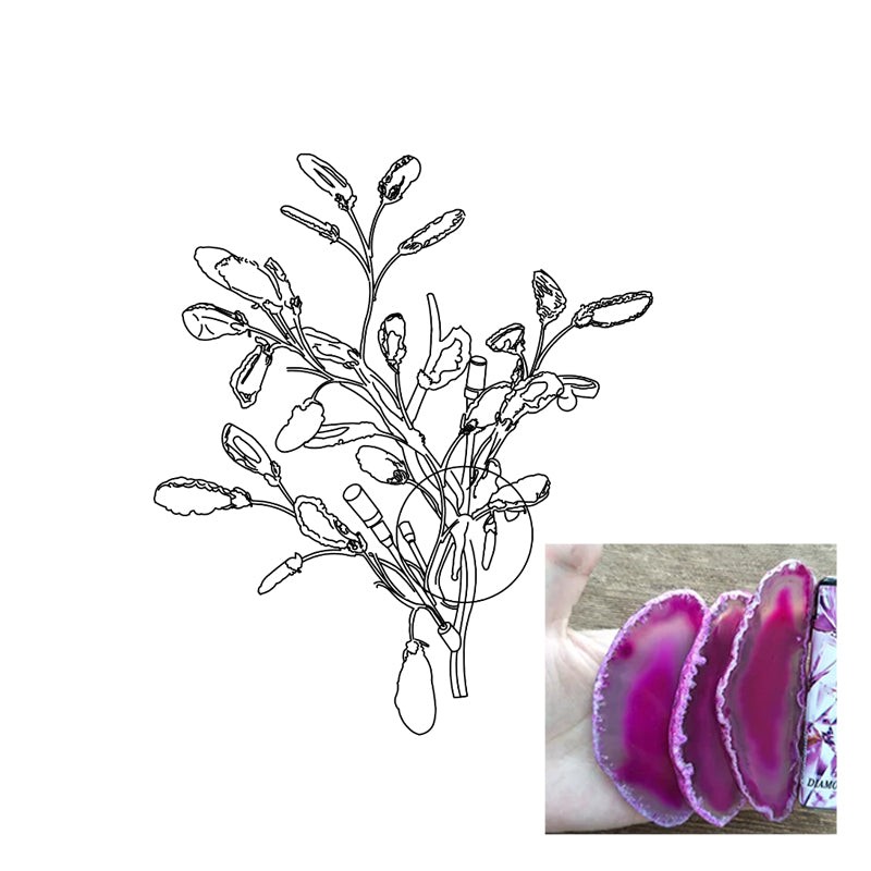 Agaat Wandlamp HL1167