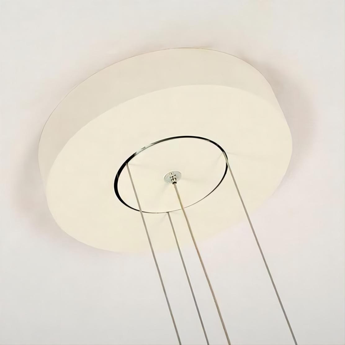 Plumeo Moderne Kroonluchter Eetkamer
