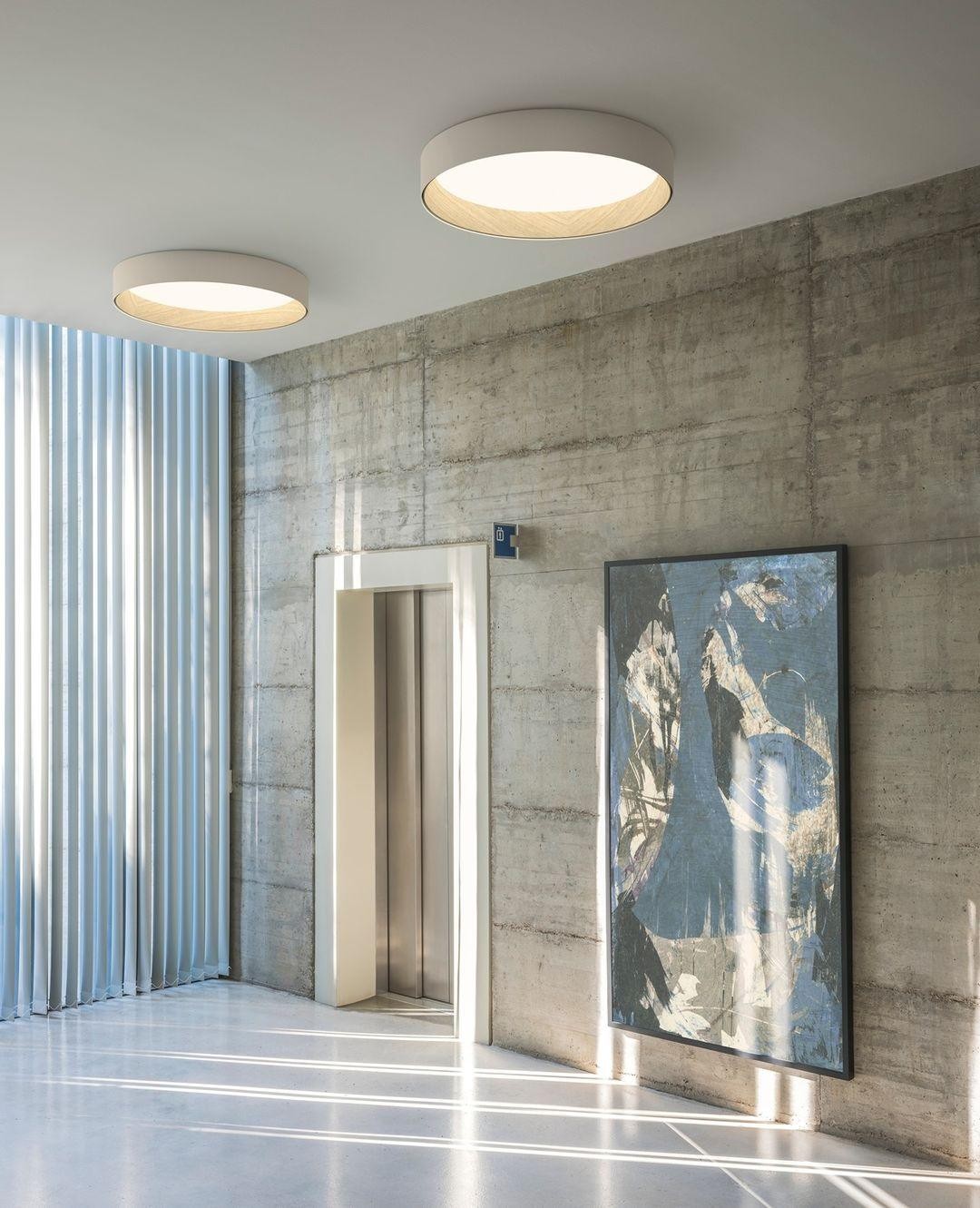 Japanse minimalistische creatieve ronde LED-plafondlamp met houtnerf HL759