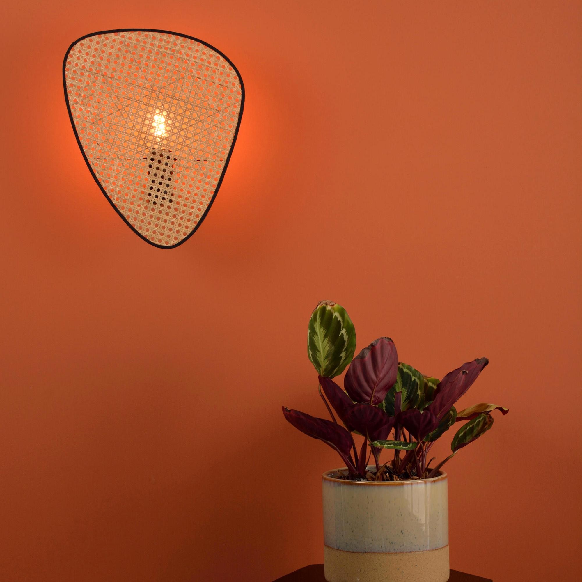 Rustieke Scherm Rotan Wandlamp HL259
