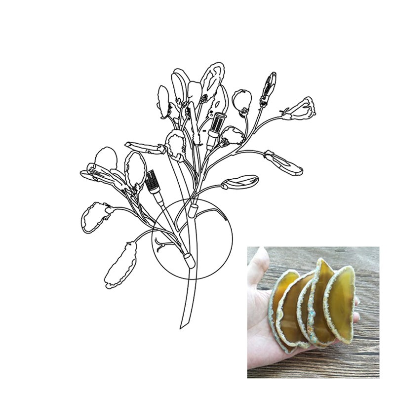 Agaat Wandlamp HL1167