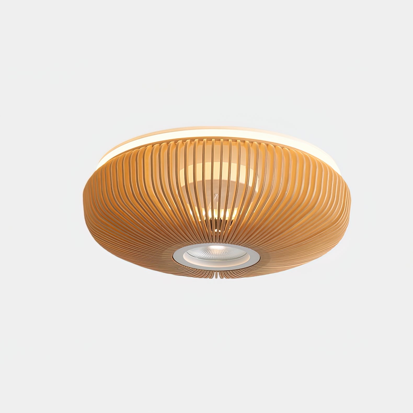 Clava Plafondlamp HL1176