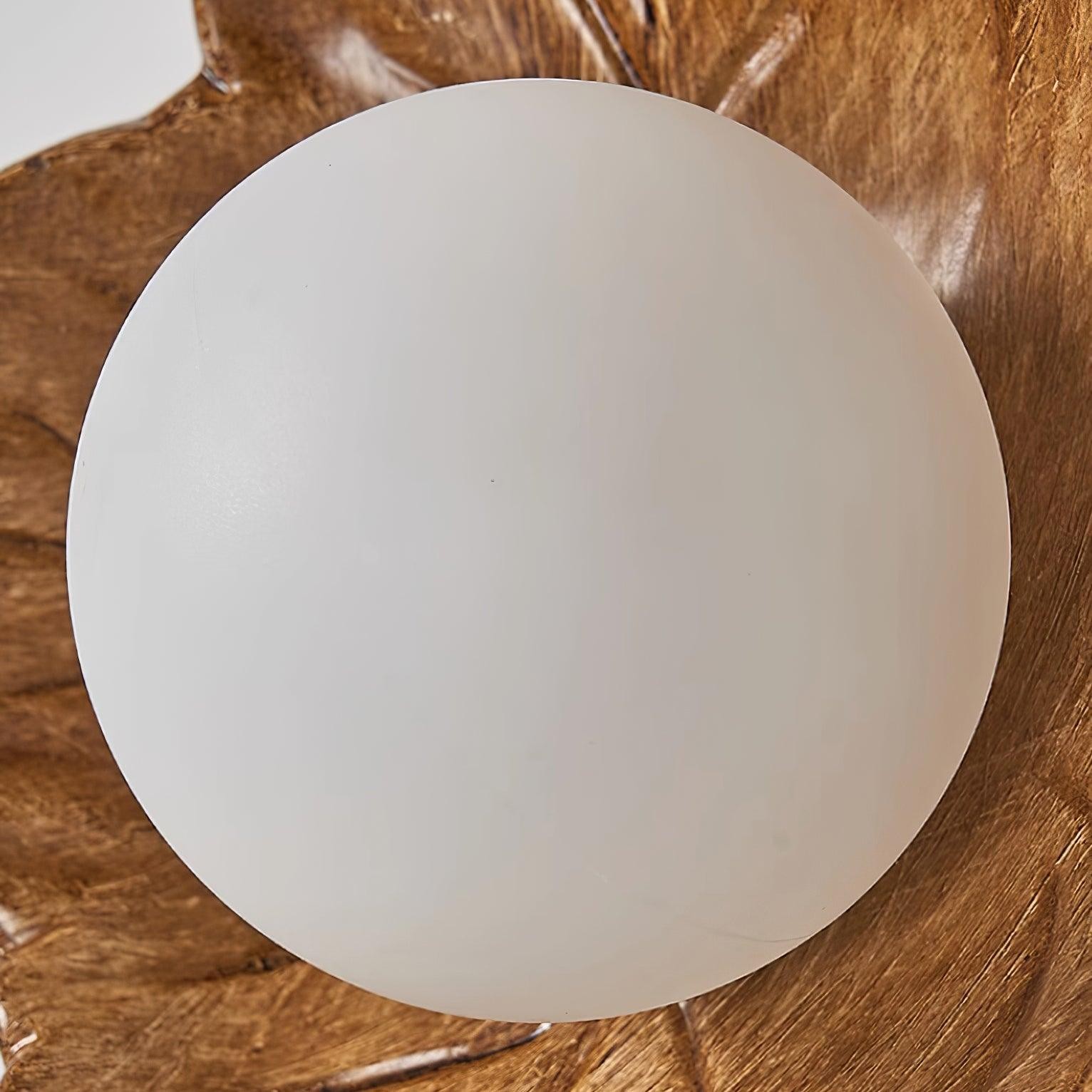 Maple Leaf Wandlamp HL592