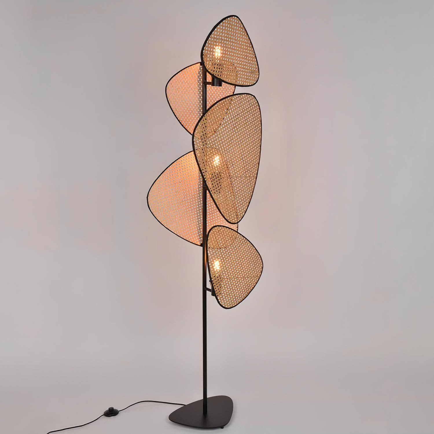 Creatieve natuurlijke rotan vloerlamp HL745