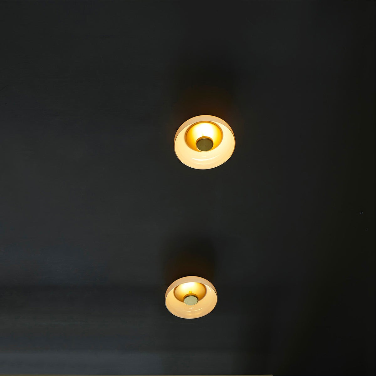 Goud LED Blossi Wandlamp Rond Glas