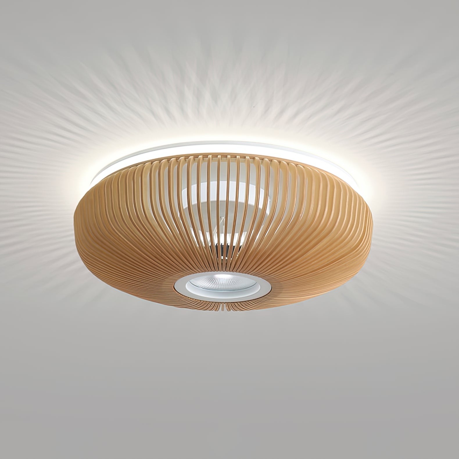 Clava Plafondlamp HL1176