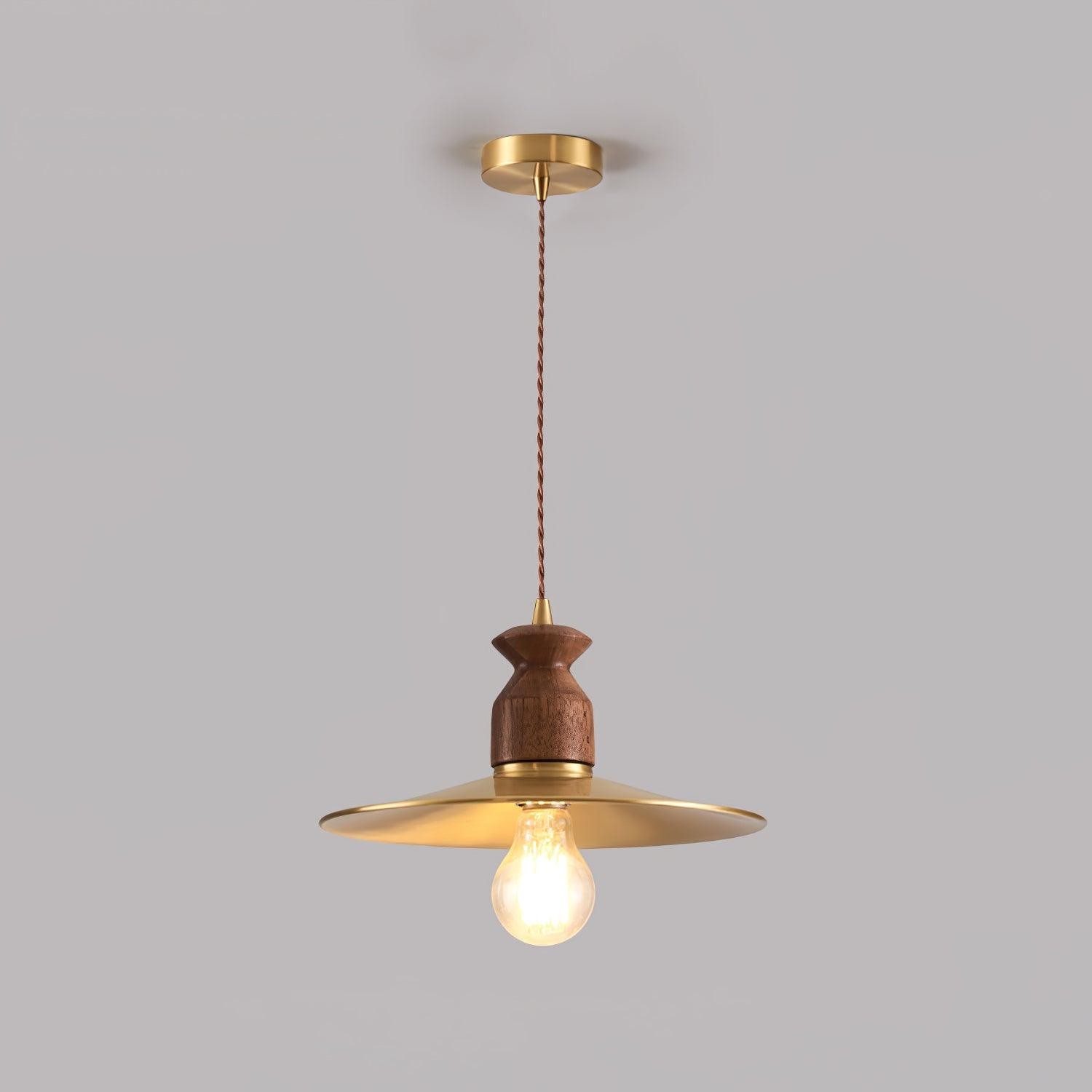 Hanglamp met messing wapenmotief HL2910