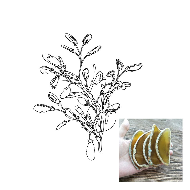Agaat Wandlamp HL1167